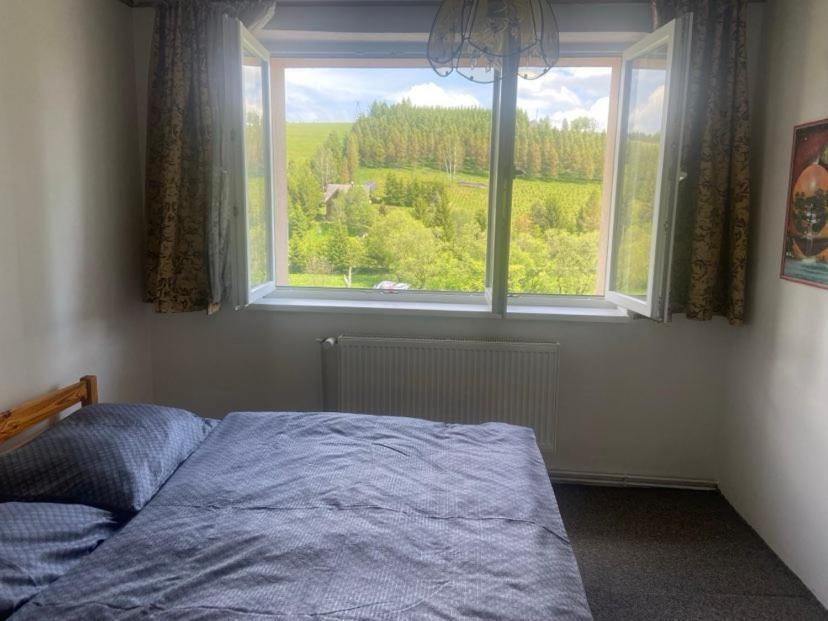Apartman Orlicke Hory Orlicke Zahori Exteriör bild