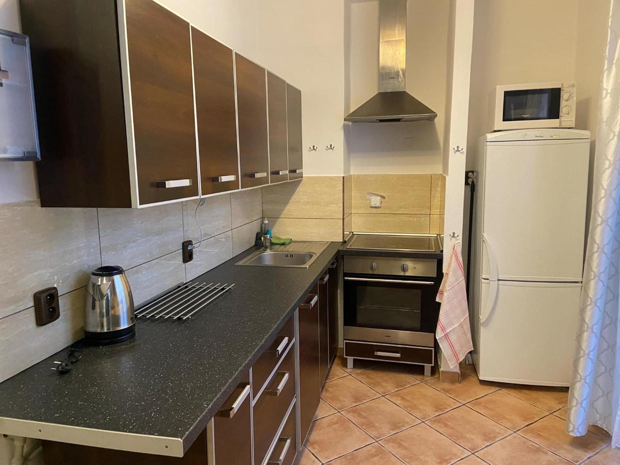Apartman Orlicke Hory Orlicke Zahori Exteriör bild