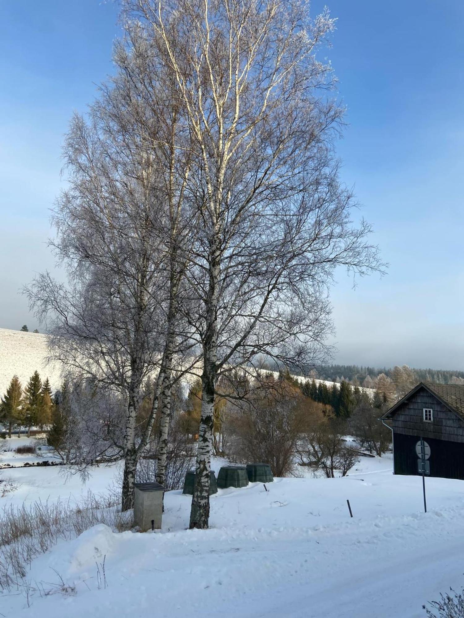 Apartman Orlicke Hory Orlicke Zahori Exteriör bild